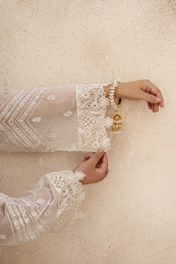 EMBROIDRED CHIFFON ZFHS-001