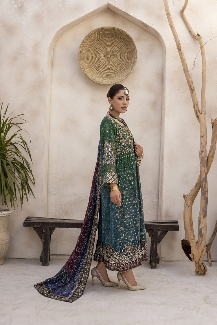 EMBROIDRED CHIFFON ZFHS-003