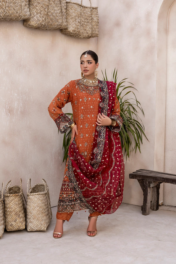 EMBROIDRED CHIFFON ZFHS-004