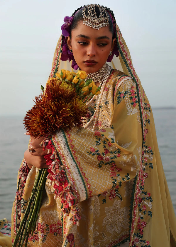 KALABAGH HUSSAIN REHAR '26-Ochre