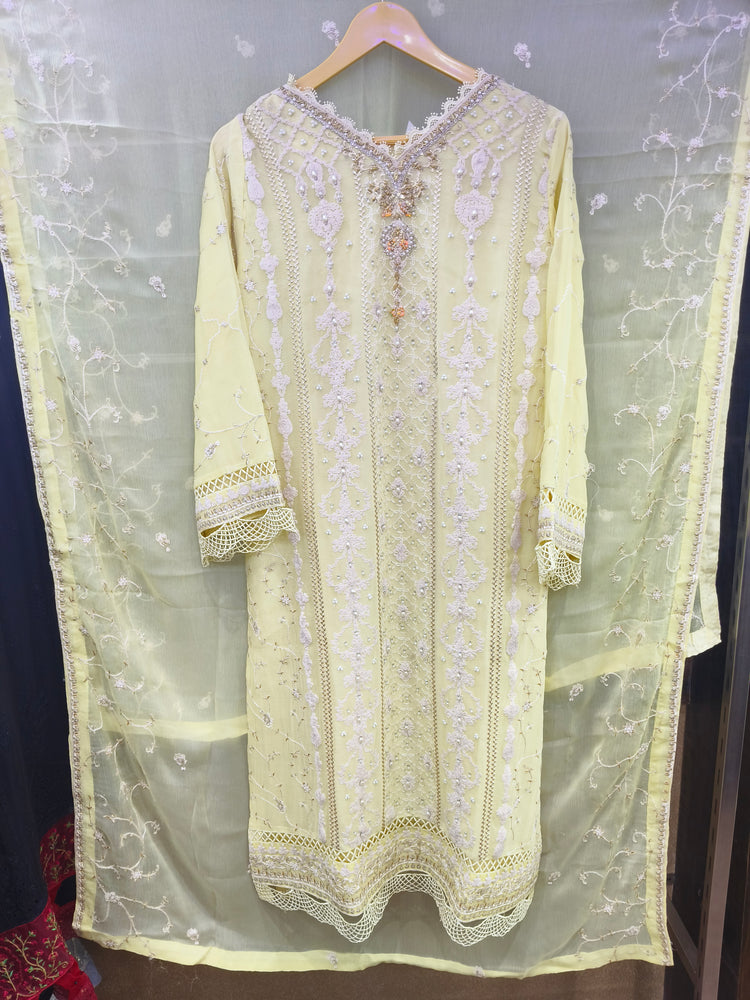 ZOYA AHMAD GUZEL CHIFFON STITCHED - D01