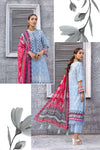 Lala Celebre Lawn`24 LP#51
