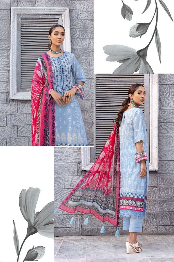 Lala Celebre Lawn`24 LP#51