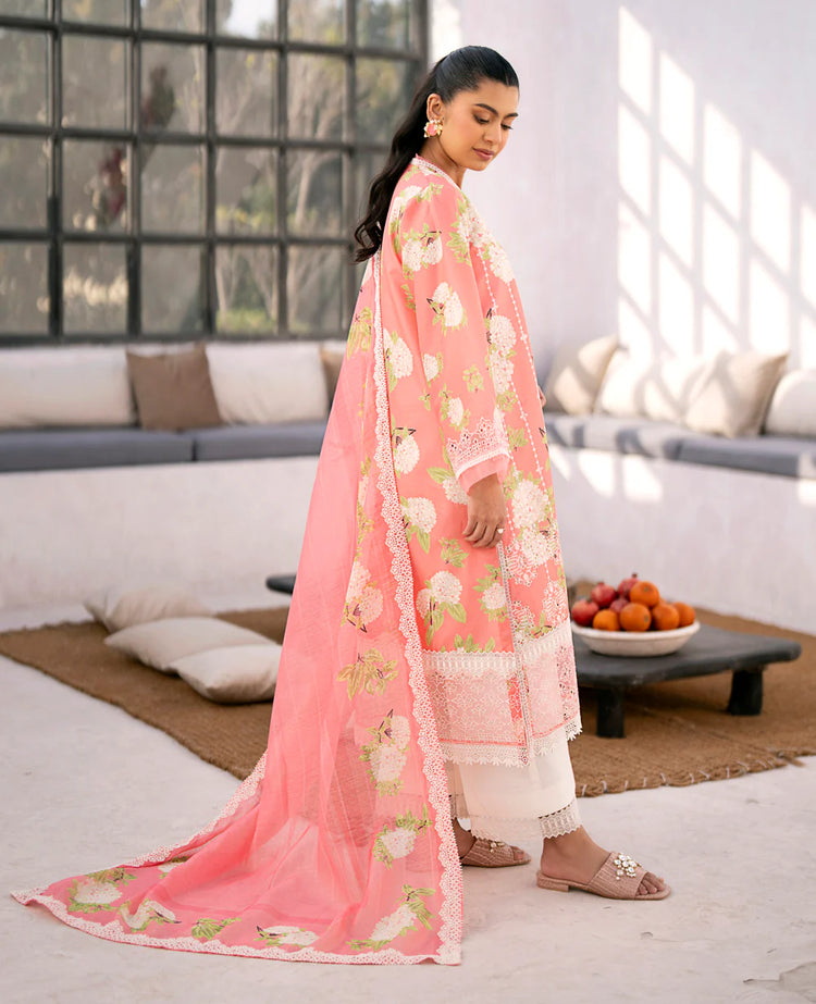 XENIA SUMMER SOIREE- CHELLAM