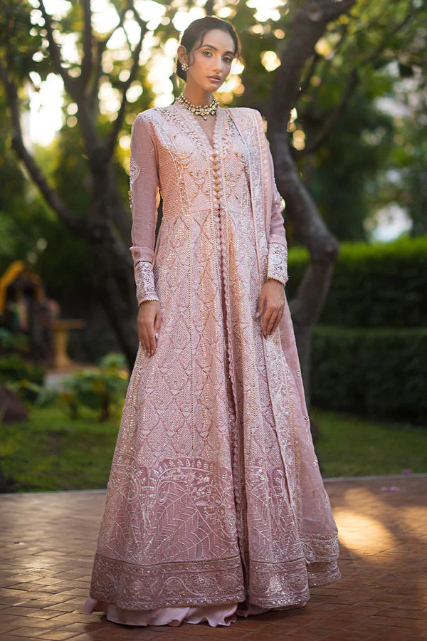 ROOHI BY MUSHQ UN-STITCHED 3PC | Aanya