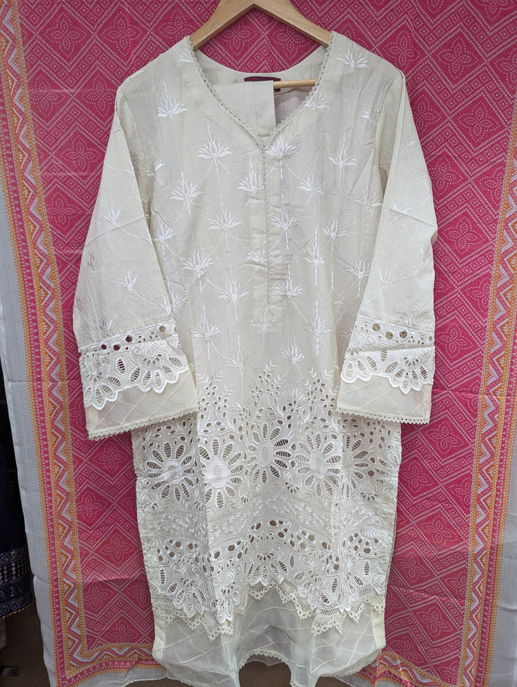 BIN SAEED CHIKANKARI STITCHED 2024 D-06