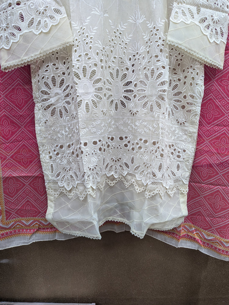 BIN SAEED CHIKANKARI STITCHED 2024 D-06