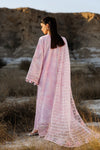 SUNLIT GROOVE /SUMMER SORBET