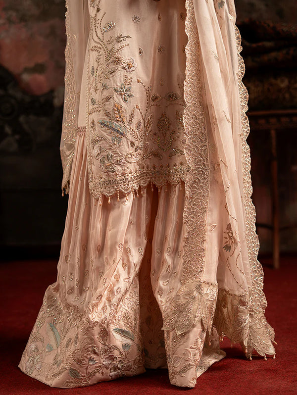 ZIRCON ZEBTAN VOL 11-ZQ-08