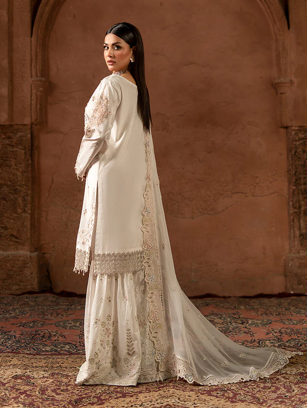 ZIRCON ZEBTAN VOL 11-ZQ-06