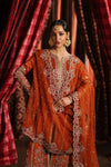 Divani afrozeh'festive formals-Aafreen