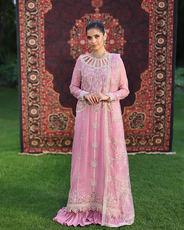 Aangan Chiffon - Naaz