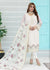 PEHCHAN BY PAKDAMAN SEMI-STITCHED 3PC | D-1063
