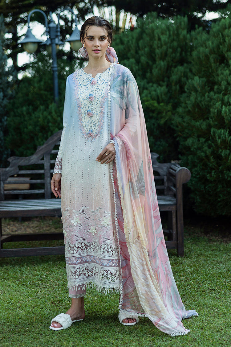 SOLACE OMBRE CHIKANKARI|Purezza