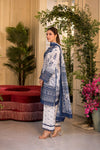 Sobia nazir Vital 2025 Design 10B