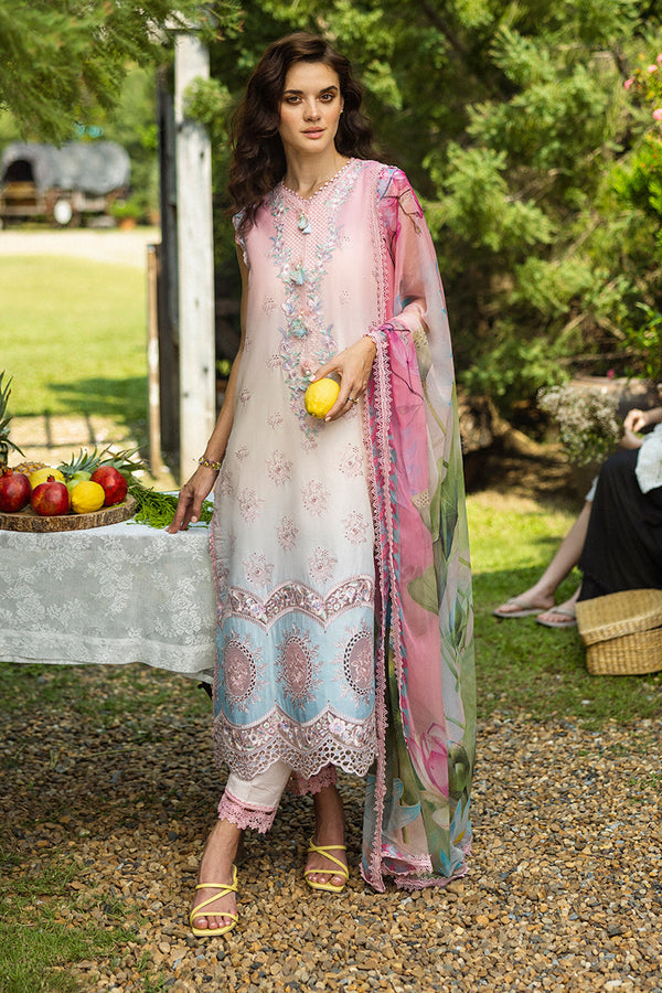 SOLACE OMBRE CHIKANKARI|Sorriso