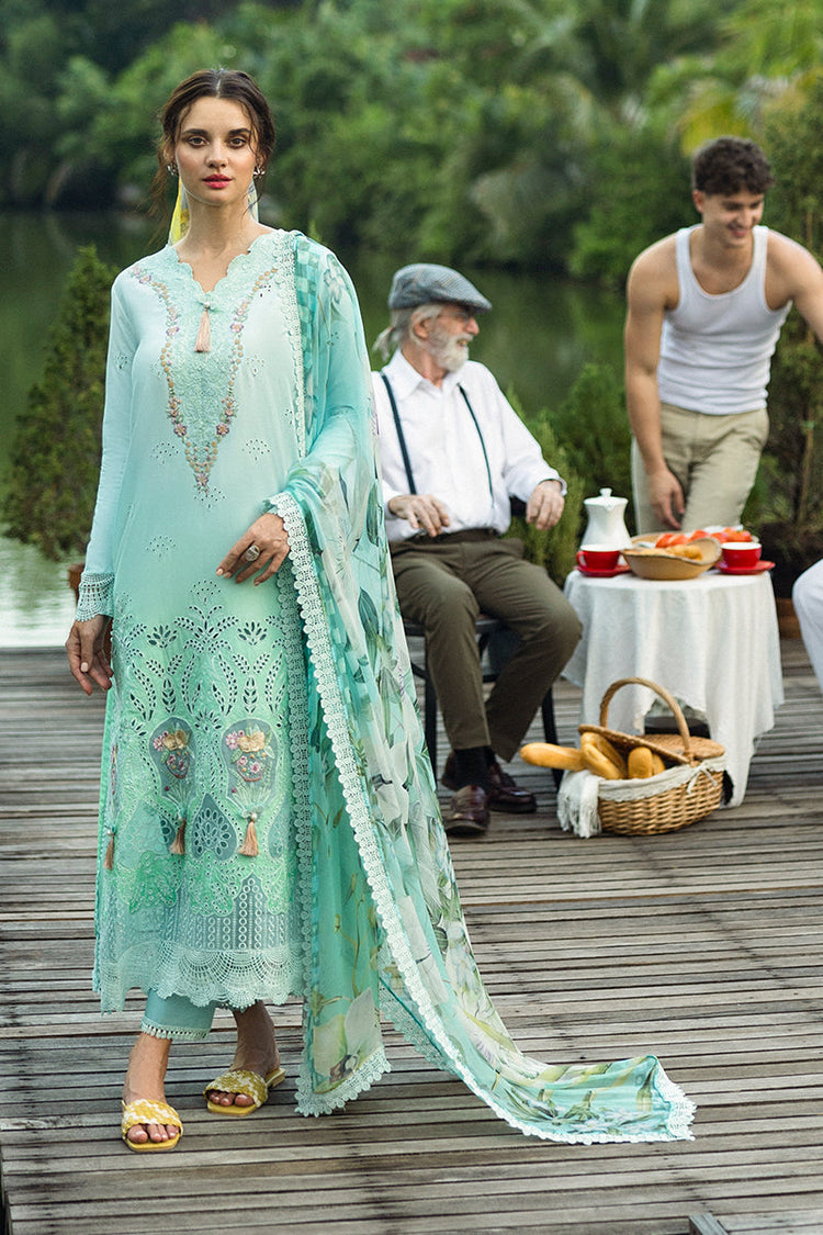 SOLACE OMBRE CHIKANKARI|Famiglia