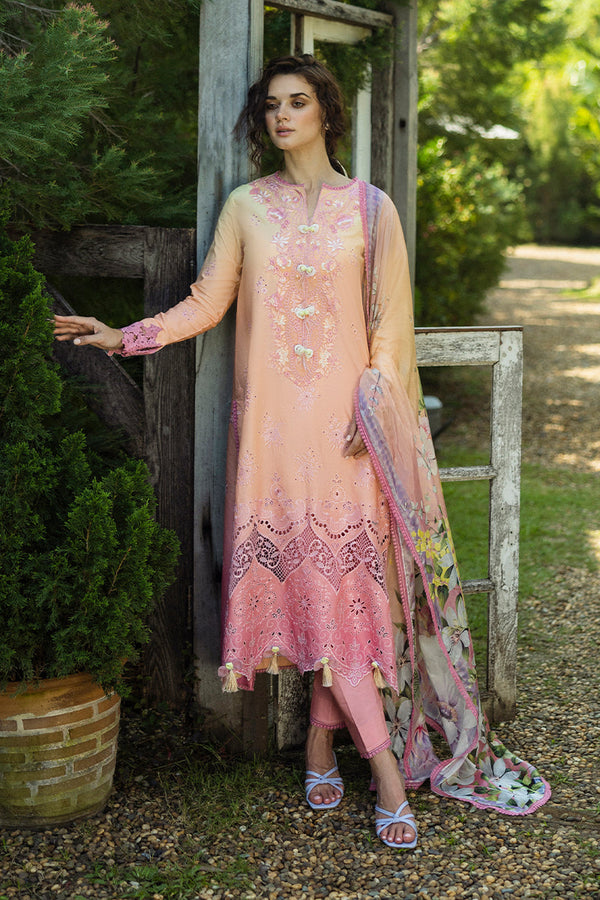 SOLACE OMBRE CHIKANKARI|Risate