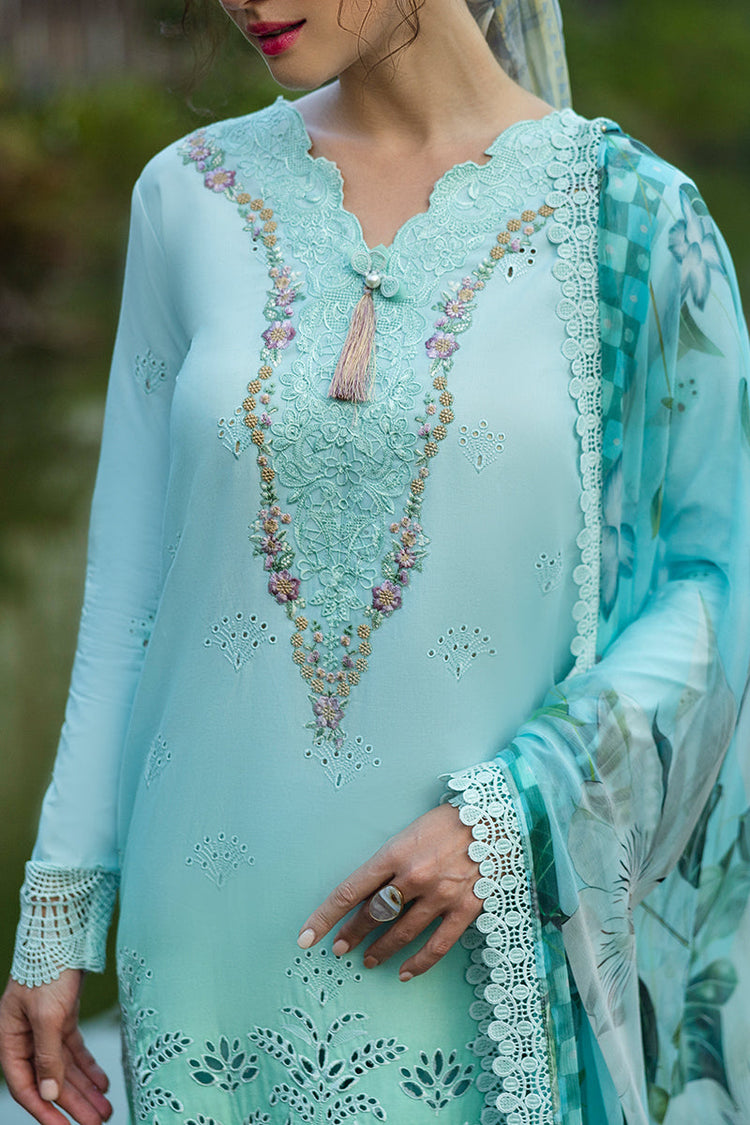 SOLACE OMBRE CHIKANKARI|Famiglia