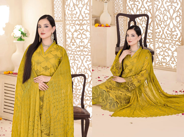KINZA CHICKEN KARI UN-STITCHED COLLECTION BY BIN HAMEED 24'-01