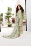 Sobia nazir Vital 2025 Design 5B