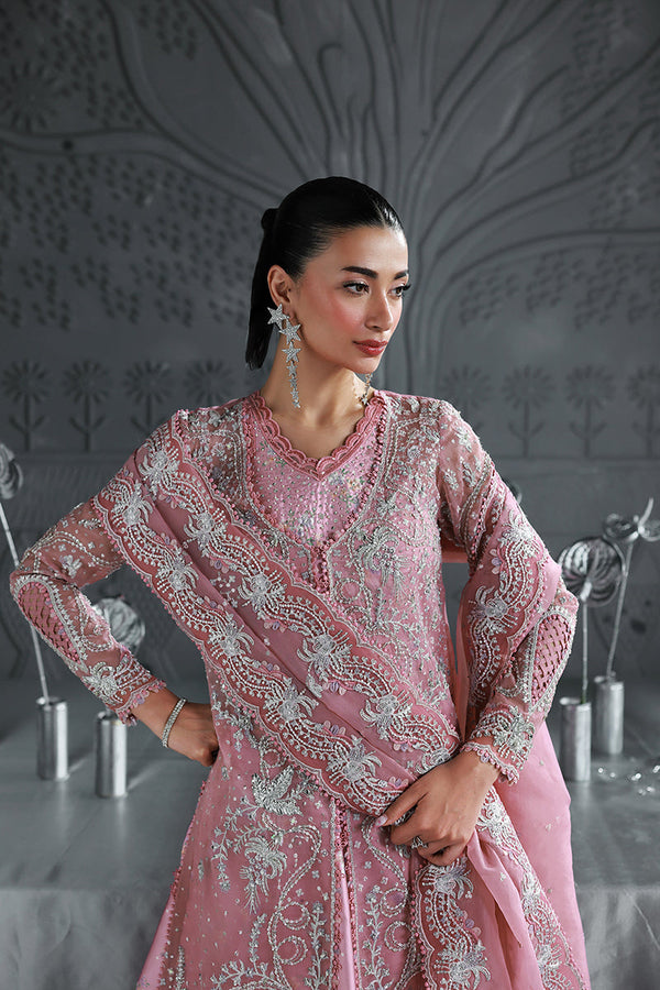 QALAMKAR ELIRA:-MF-07 ROSALYN