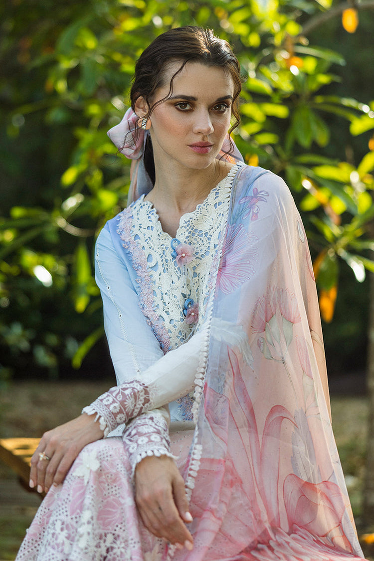 SOLACE OMBRE CHIKANKARI|Purezza