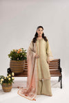 PHULKAARI ZR-2620 | BEIGE