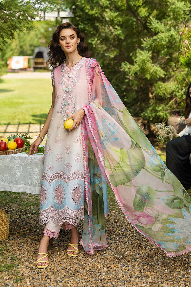 SOLACE OMBRE CHIKANKARI|Sorriso