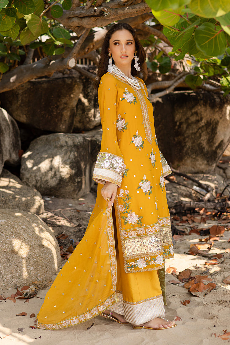 ZYRA FREESIA 3 Piece Embroirdered Chiffon Mirha - FW40060
