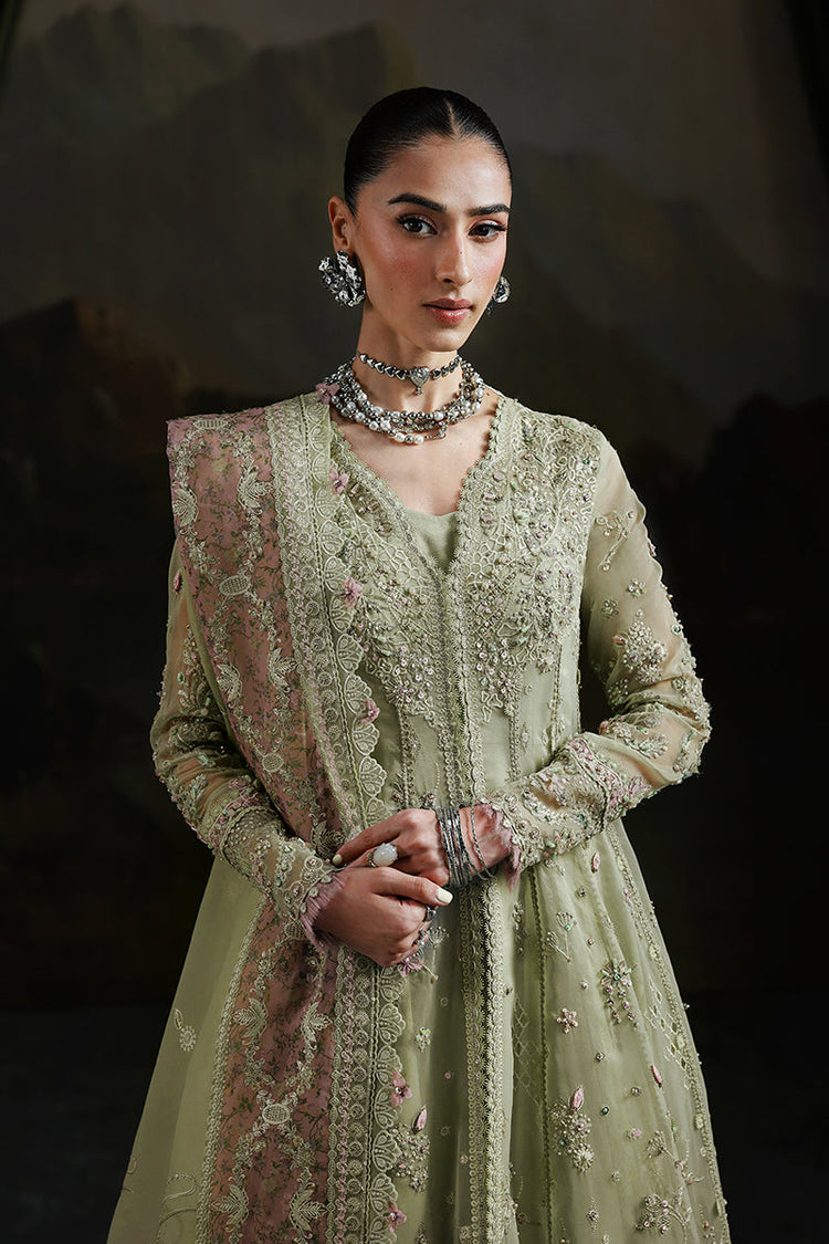 QALAMKAR ELIRA:-MF-02 SAGE AURA