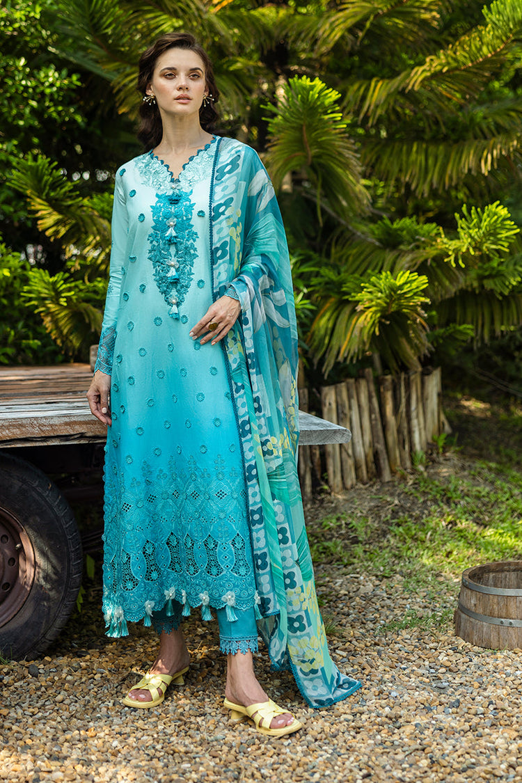 SOLACE OMBRE CHIKANKARI|Amore