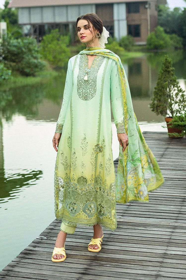 SOLACE OMBRE CHIKANKARI|Unione