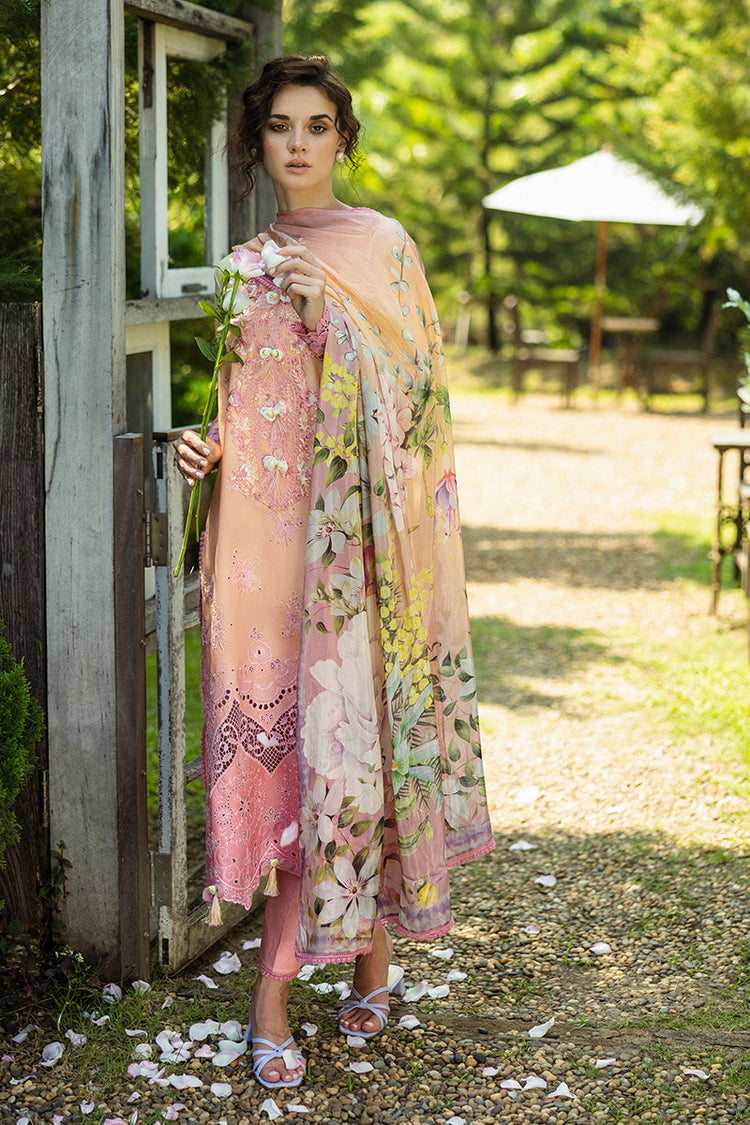 SOLACE OMBRE CHIKANKARI|Risate