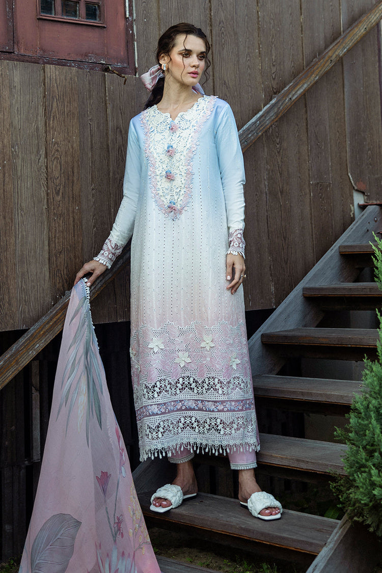 SOLACE OMBRE CHIKANKARI|Purezza