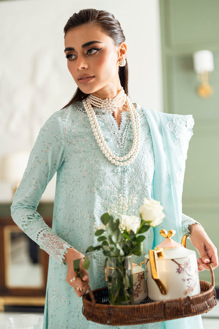QALAMKAR CHIKANKARI 25 CS-06 NEESHA