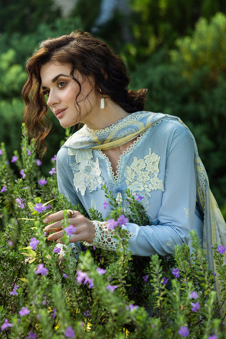 SOLACE OMBRE CHIKANKARI|Intesa