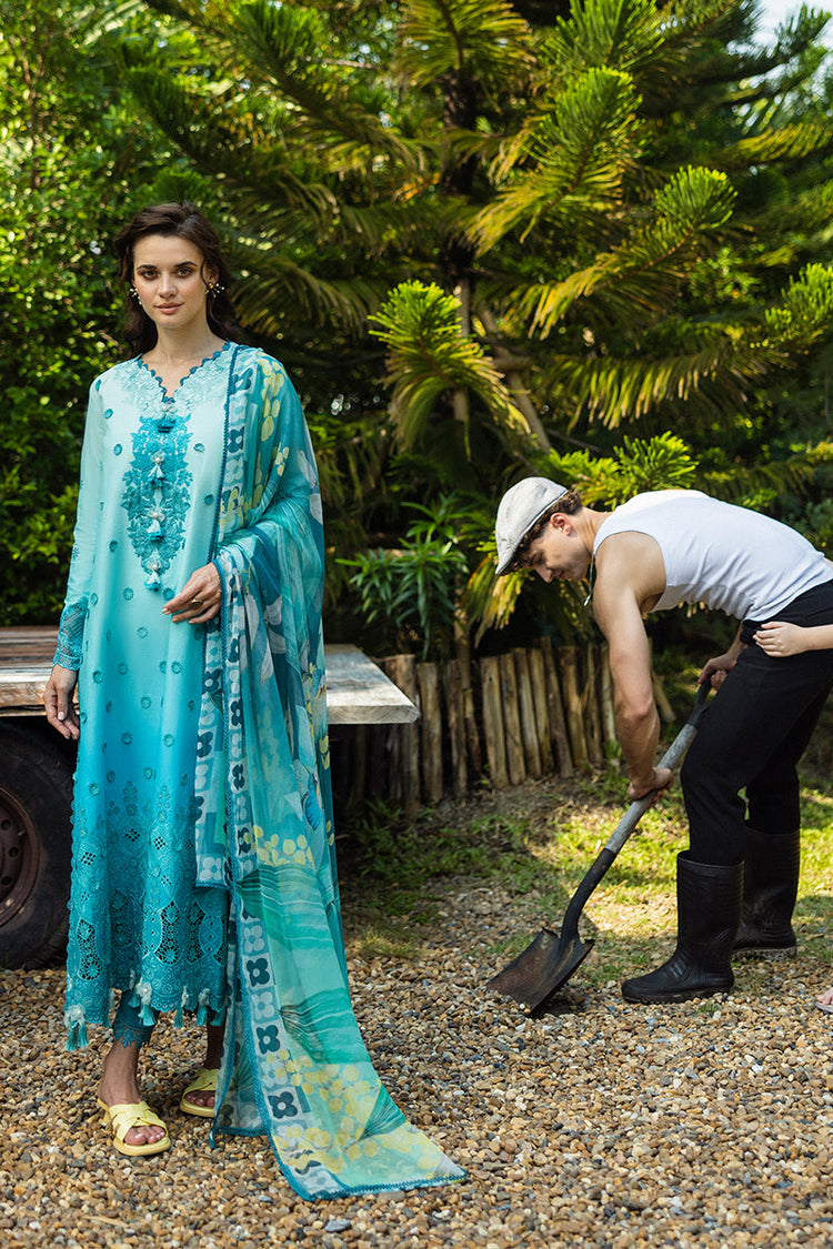 SOLACE OMBRE CHIKANKARI|Amore