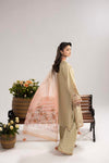 PHULKAARI ZR-2620 | BEIGE
