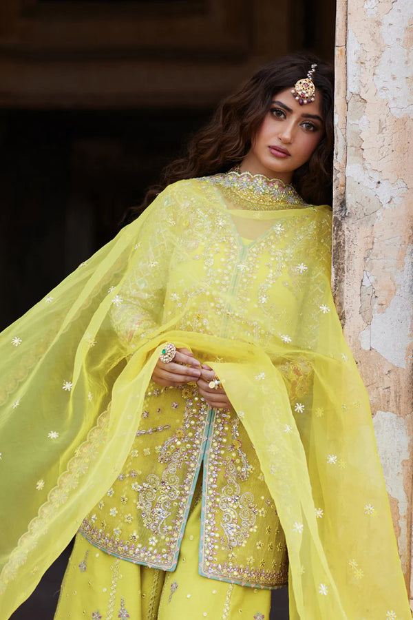 QALAMKAR LUXURY FORMAL'S | Dania SH-05