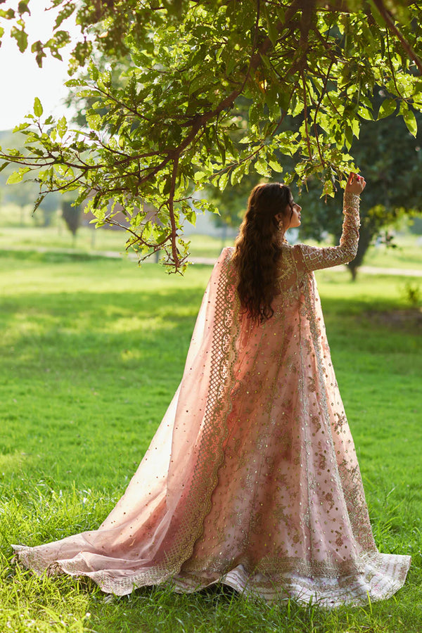 QALAMKAR LUXURY FORMAL'S | Saira SH-08