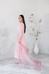 GELAREH BY TAWAKKAL SEMI STITCHED 3PC | D-3652