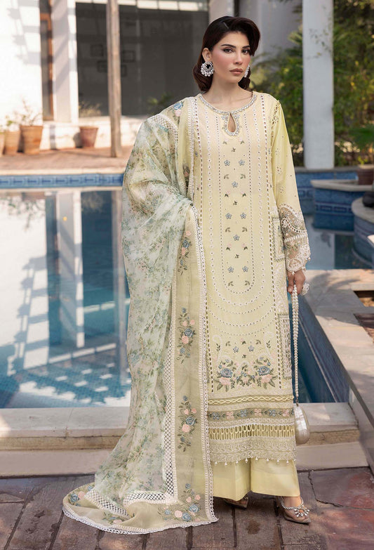 SUMMER DREAM ADAN LIBAS'25| 3505