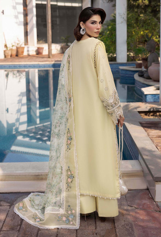 SUMMER DREAM ADAN LIBAS'25| 3505