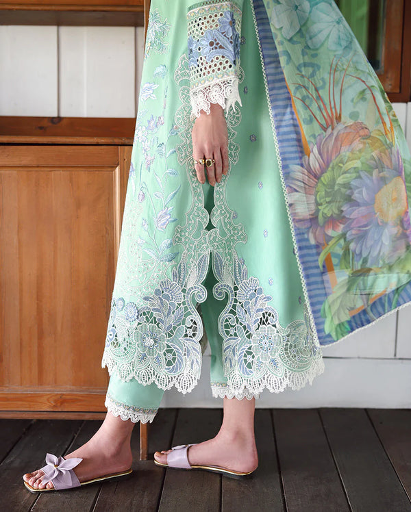 MUSHQ HEMLINE-FERNLORE