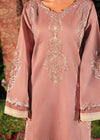 SHAHI BAGH PRET 2549- B