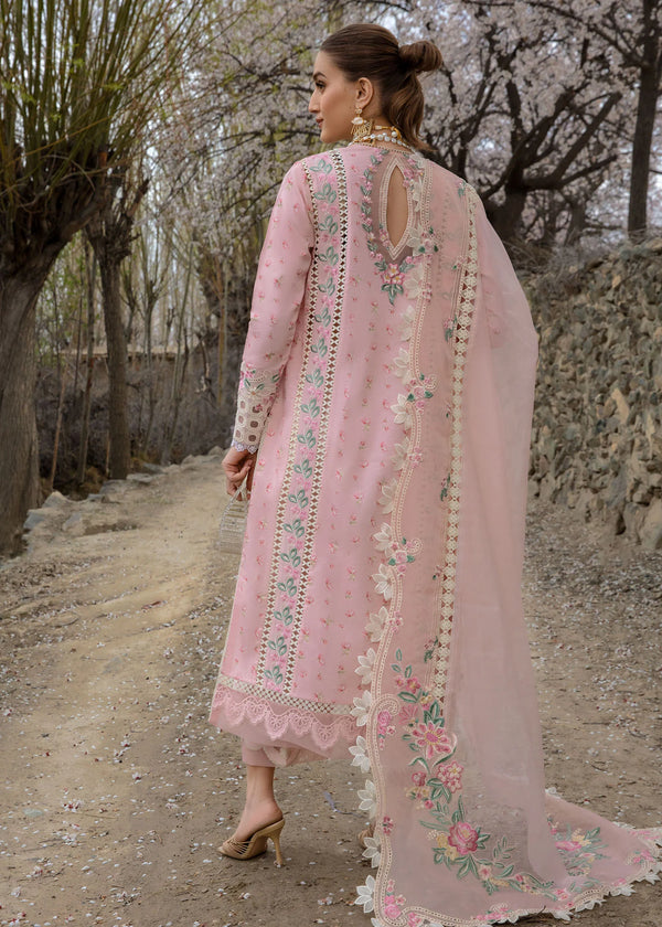 Believe In Her - Blush Pink-Crimson