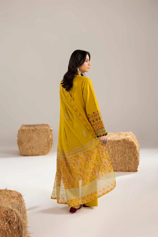 PHULKAARI 2012 DHAANI