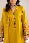 PHULKAARI 2012 DHAANI