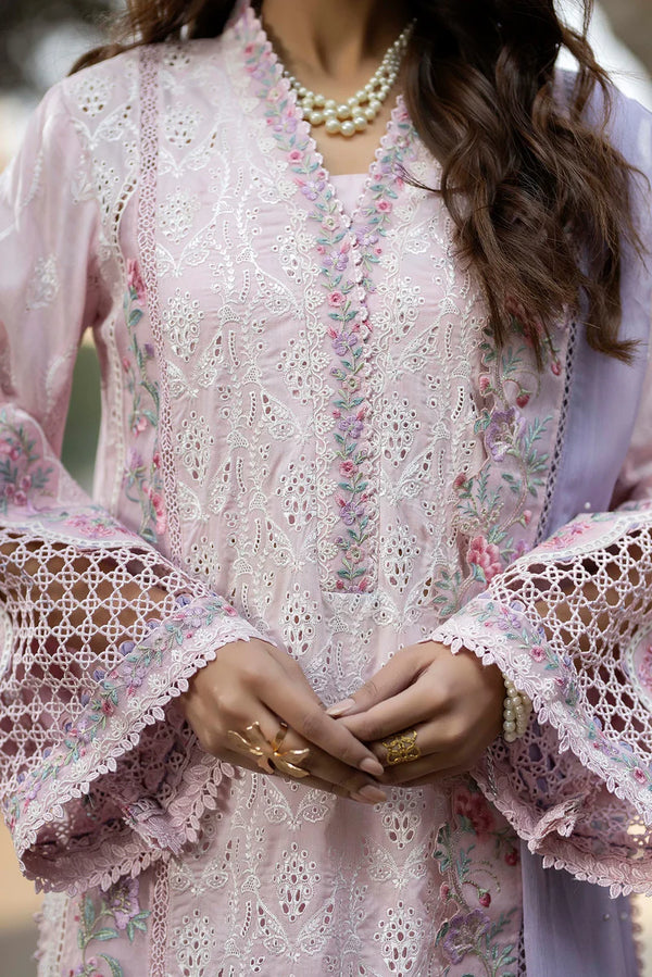 ADAN'S LIBAS TRADITION-26-D01